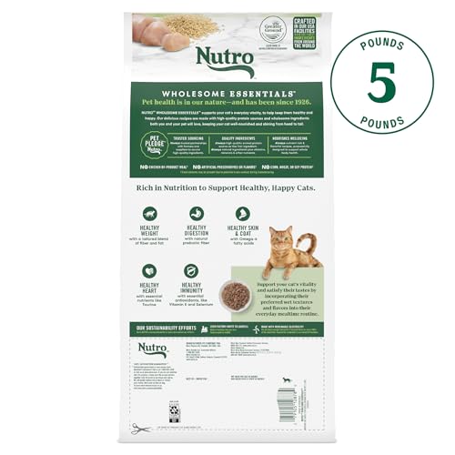 Nutro Wholesome Essentials indoor cat food highlights omega-6 for healthy skin and coat