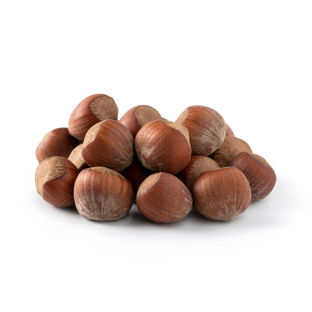 NUTS U.S. Oregon hazelnuts in-shell closeup showing fresh-cracking moments