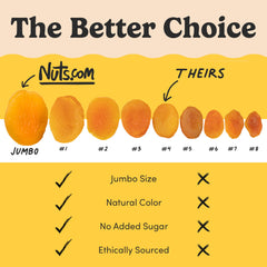 Nuts.com Turkish dried apricots plate snack image conveys chewy naturally plump fruit.