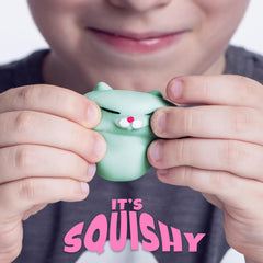Closeup of Nutty Toys silicone kitties showing soft texture for tactile calm