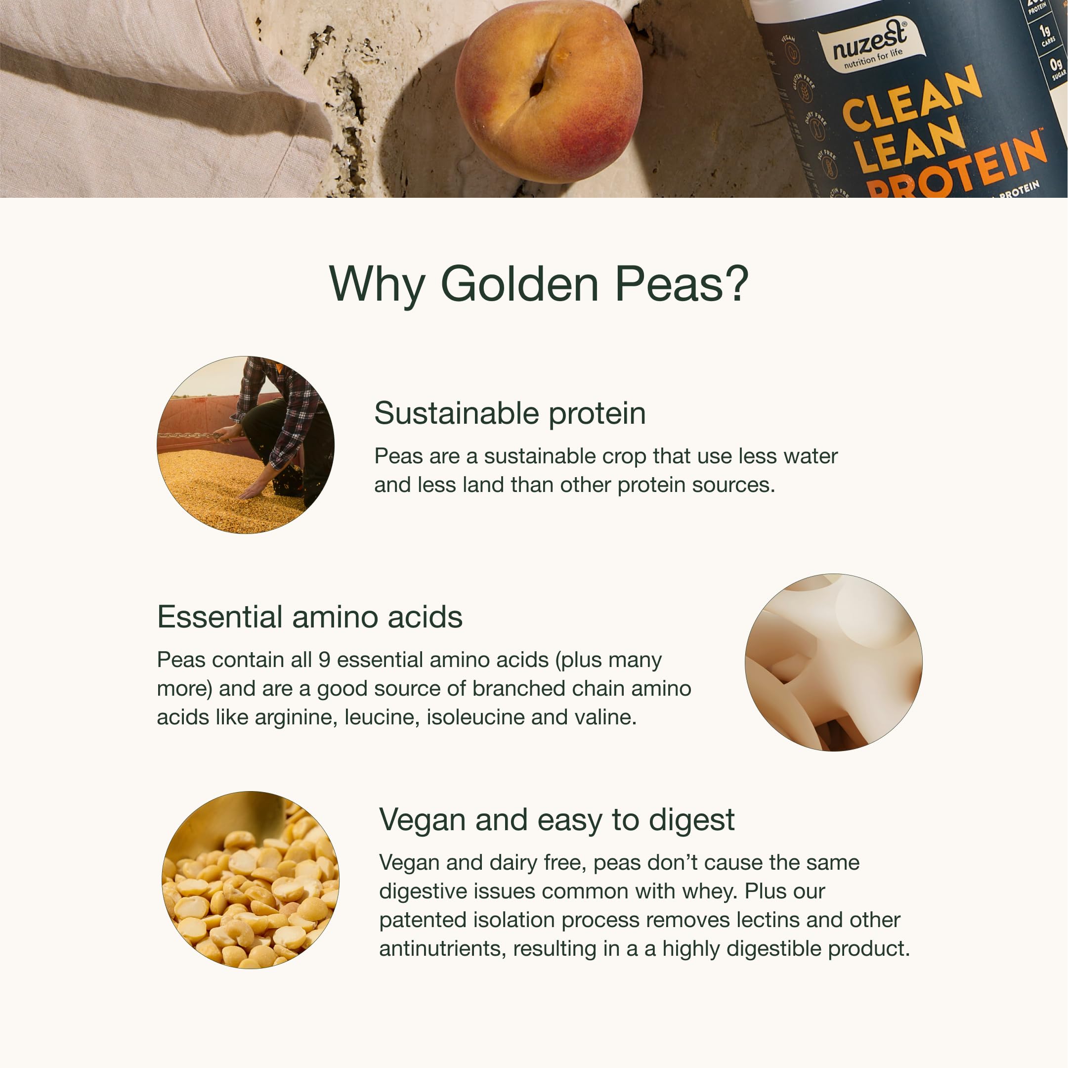 Nuzest pea protein powder vegan formula emphasizing plant-based nutrition