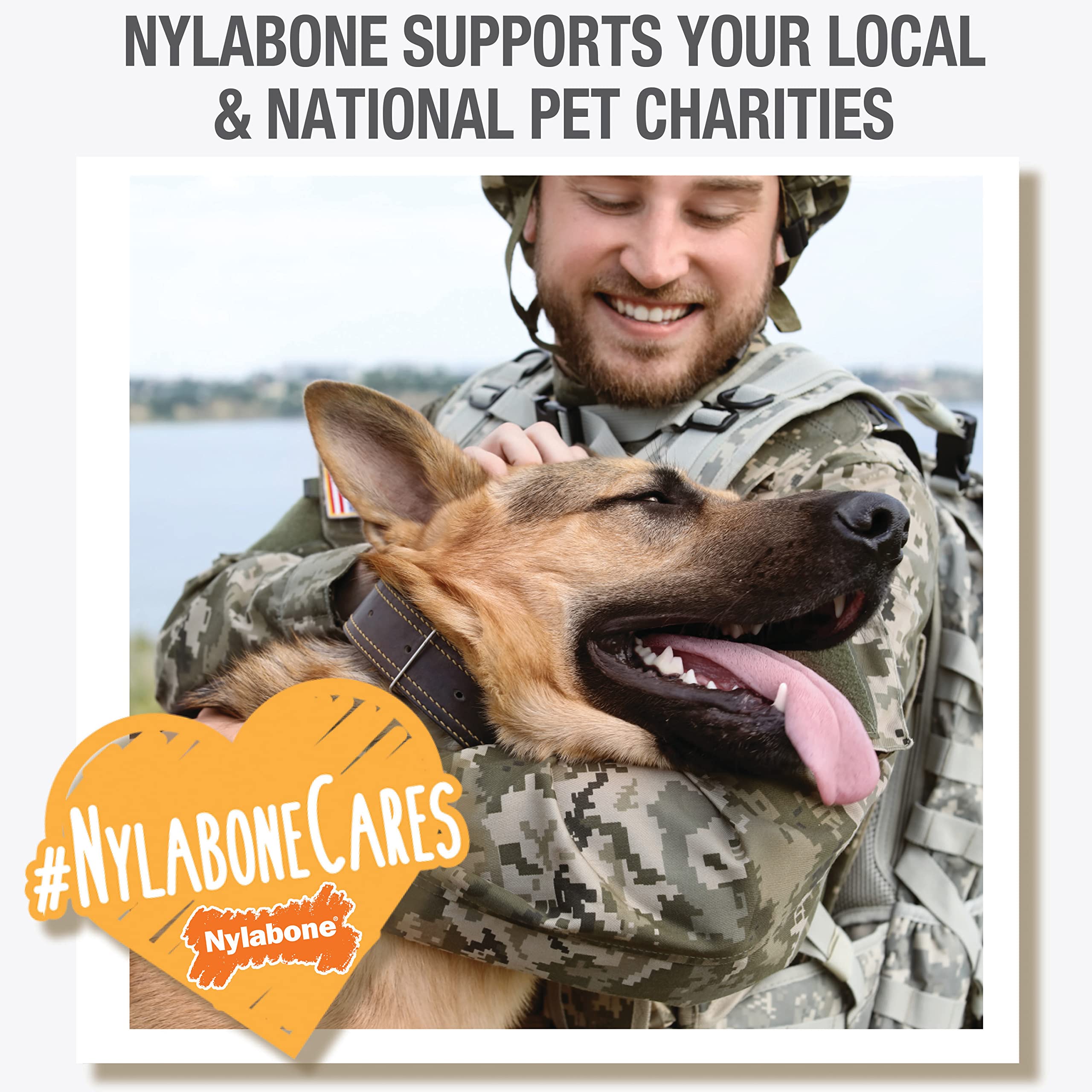 Nylabone Healthy Edibles calcium icon highlights teeth and bones support in growing puppies.