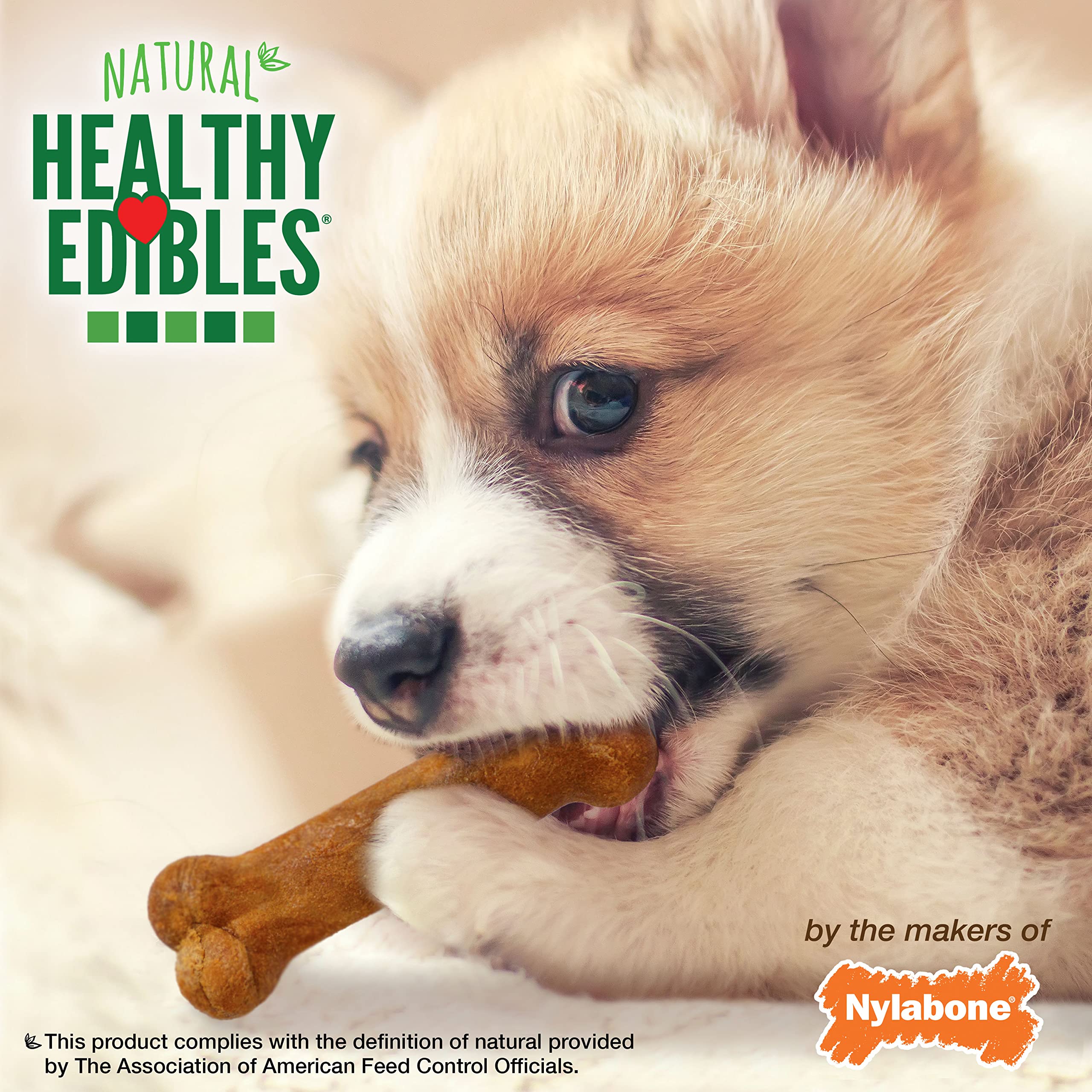 Nylabone Healthy Edibles DHA icon image suggests brain and eye development support.
