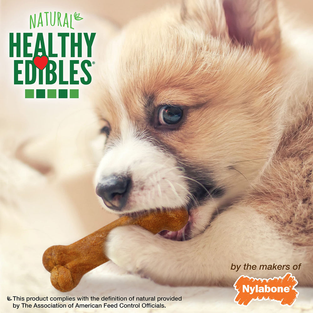Nylabone Healthy Edibles DHA icon image suggests brain and eye development support.