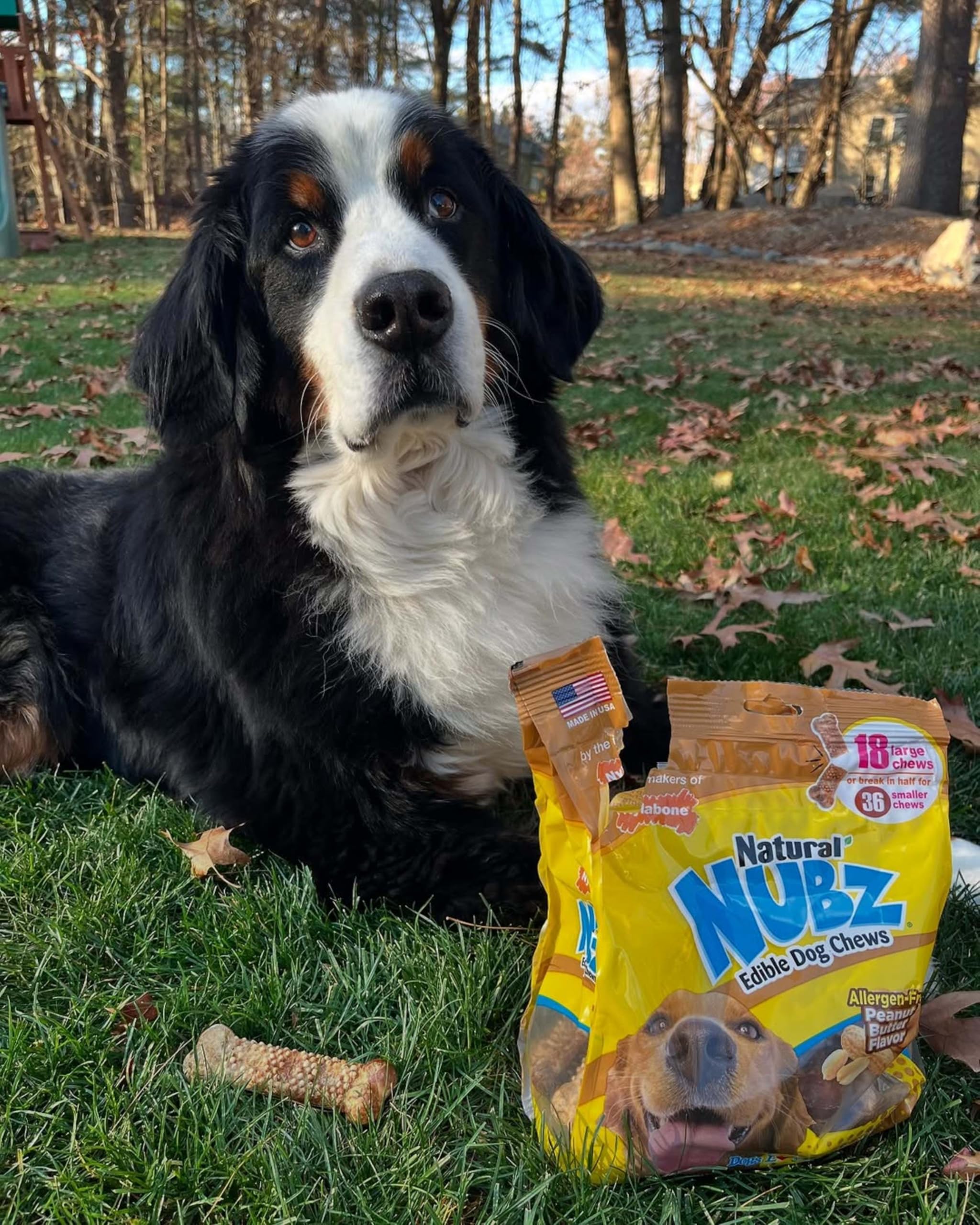 Nylabone Nubz breath-freshening effect illustrated on chew surface.