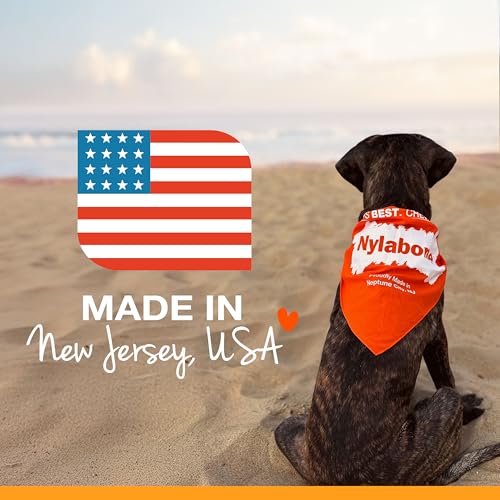 Nylabone Nubz durable chew designed for large breeds and daily use.
