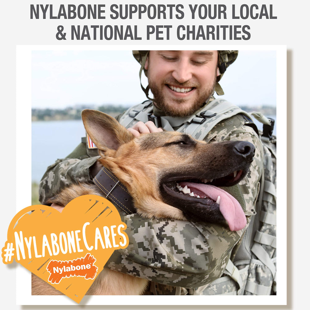 Nylabone Nubz Wild made-in-the-usa label signals quality.