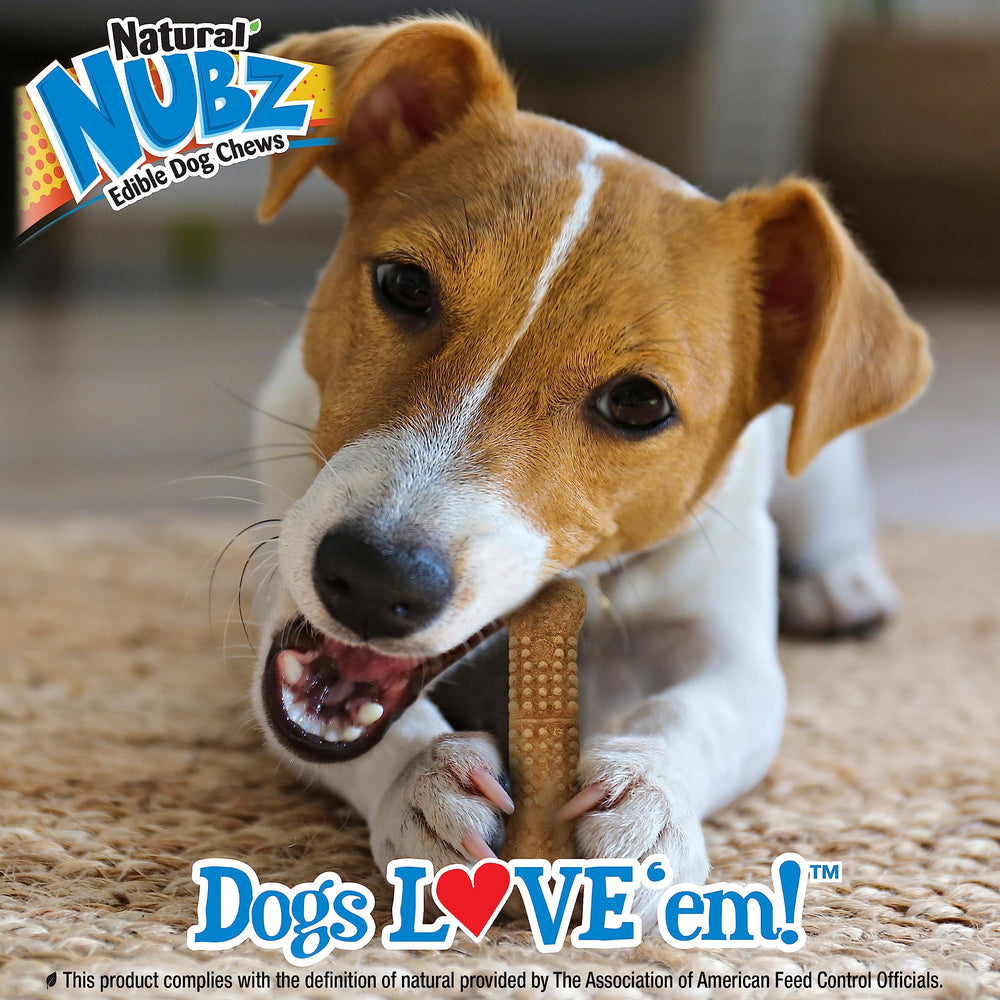 Nylabone Nubz Wild natural ingredients without artificial preservatives.