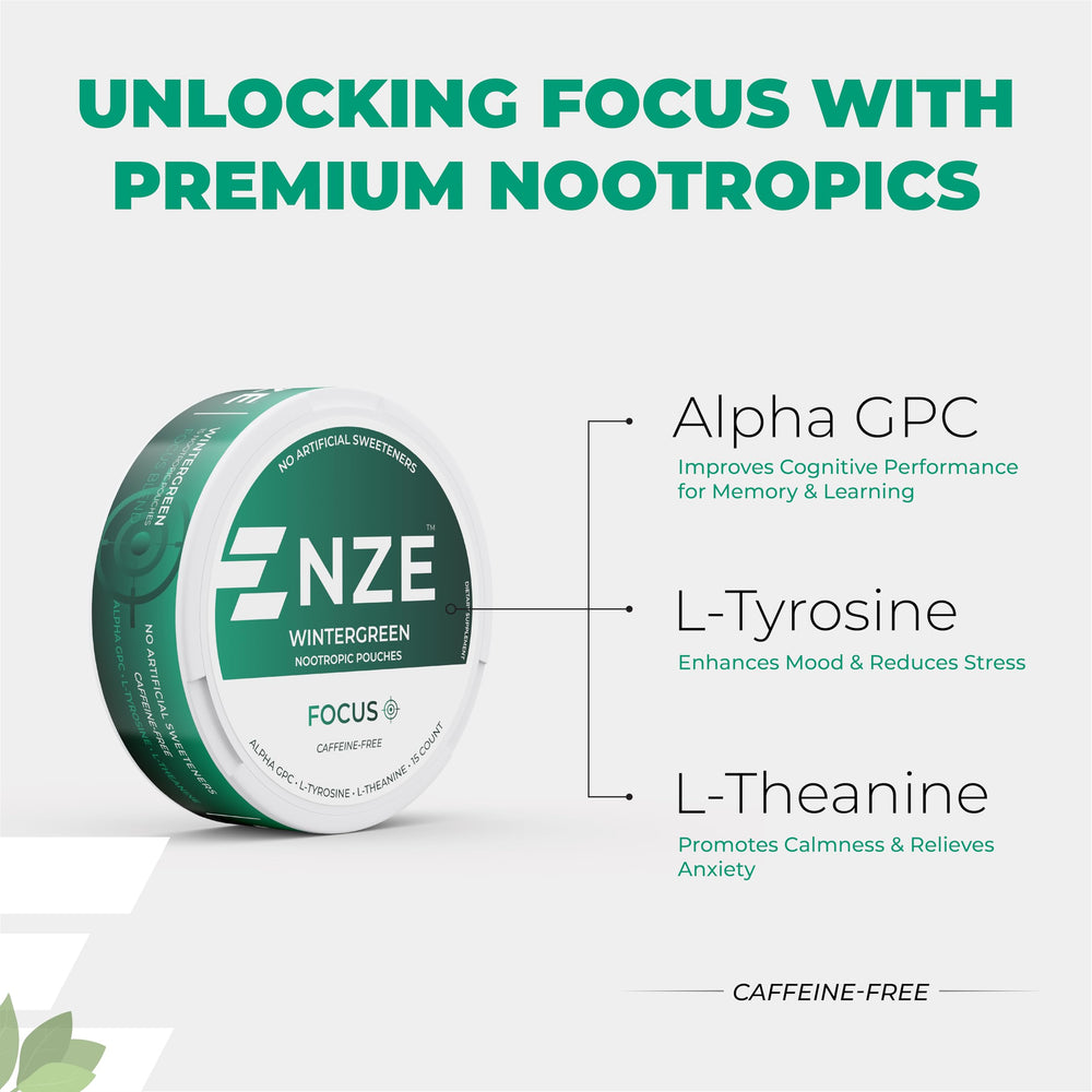 NZE Wintergreen pouch close-up with natural sweeteners Stevia and Xylitol