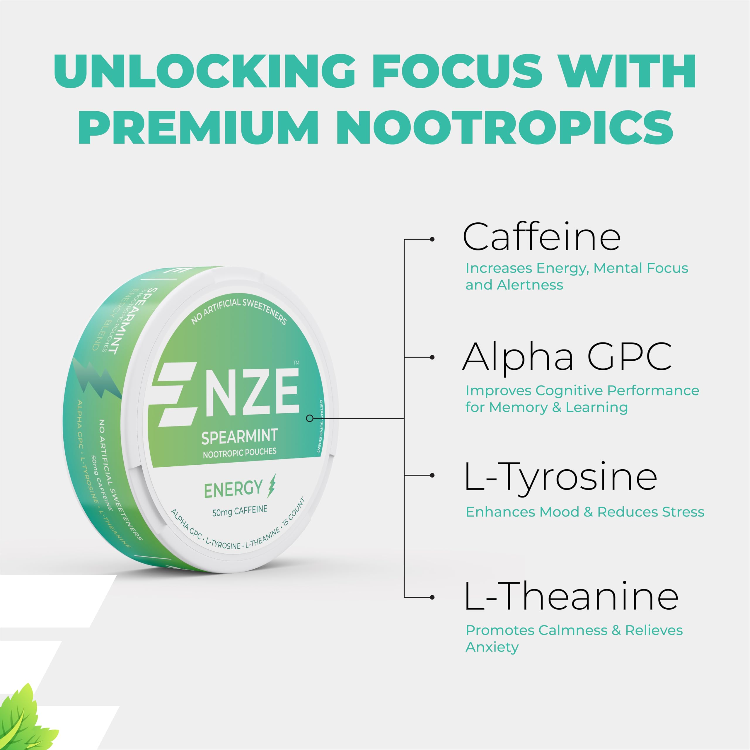 NZE Pouch oral-absorption illustration emphasizes rapid entry into bloodstream