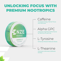 NZE Pouch oral-absorption illustration emphasizes rapid entry into bloodstream