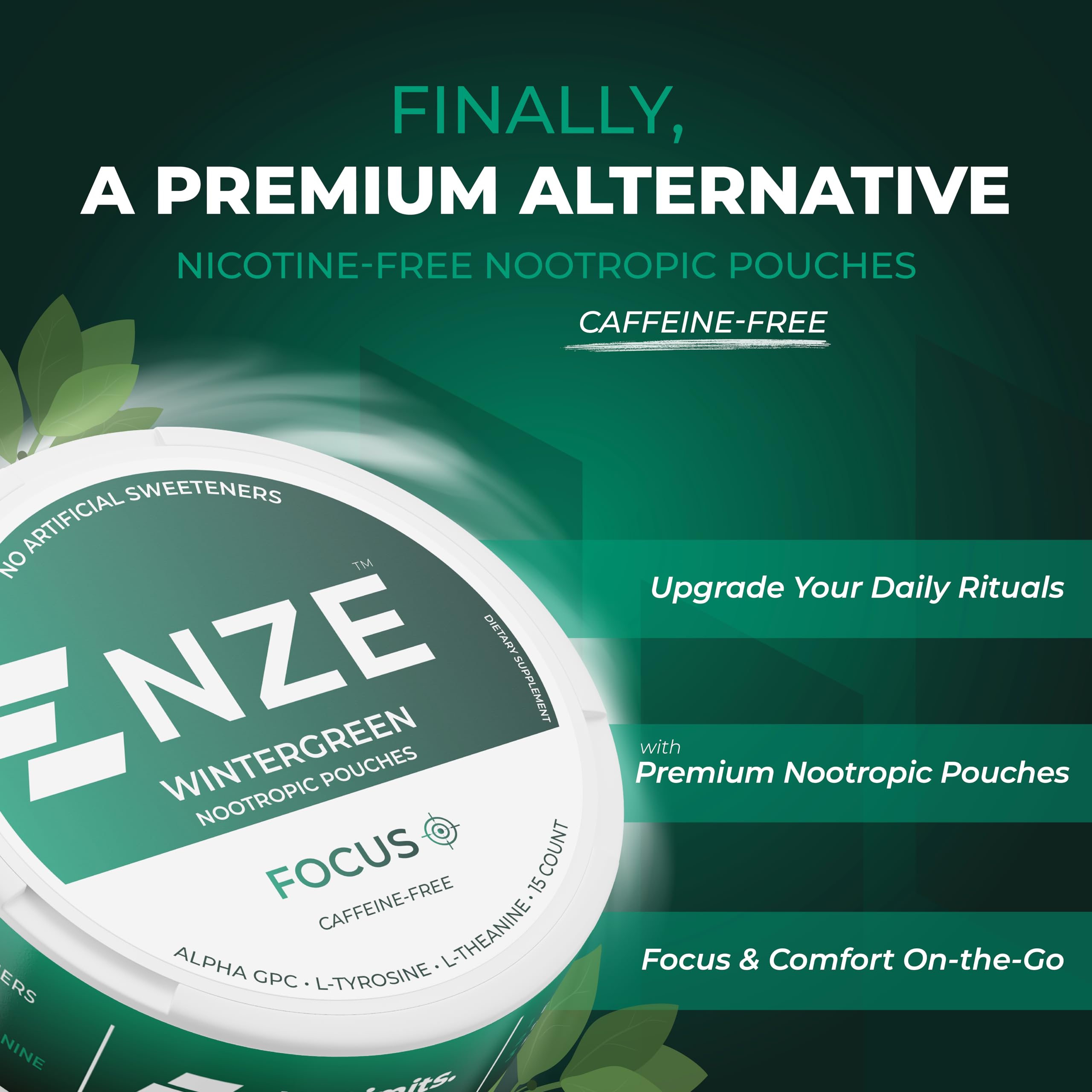 NZE Wintergreen pouch pack close-up showing natural sweetness without sugar