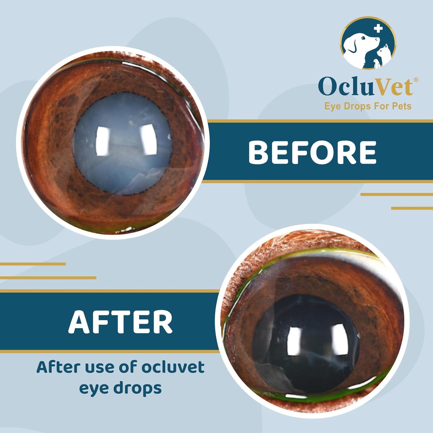 OcluVet bottle close-up highlighting antioxidant blend for eye health.