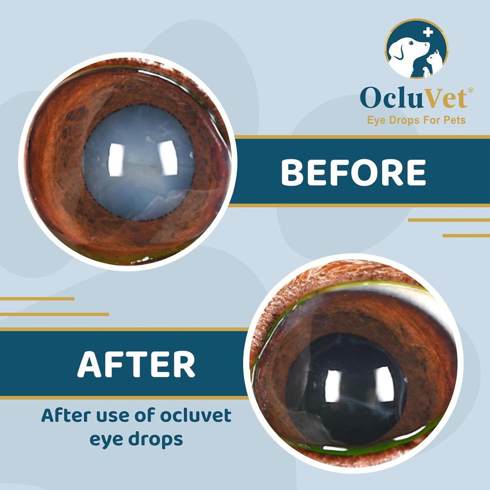 OcluVet bottle close-up highlighting antioxidant blend for eye health.