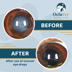 OcluVet bottle close-up highlighting antioxidant blend for eye health.