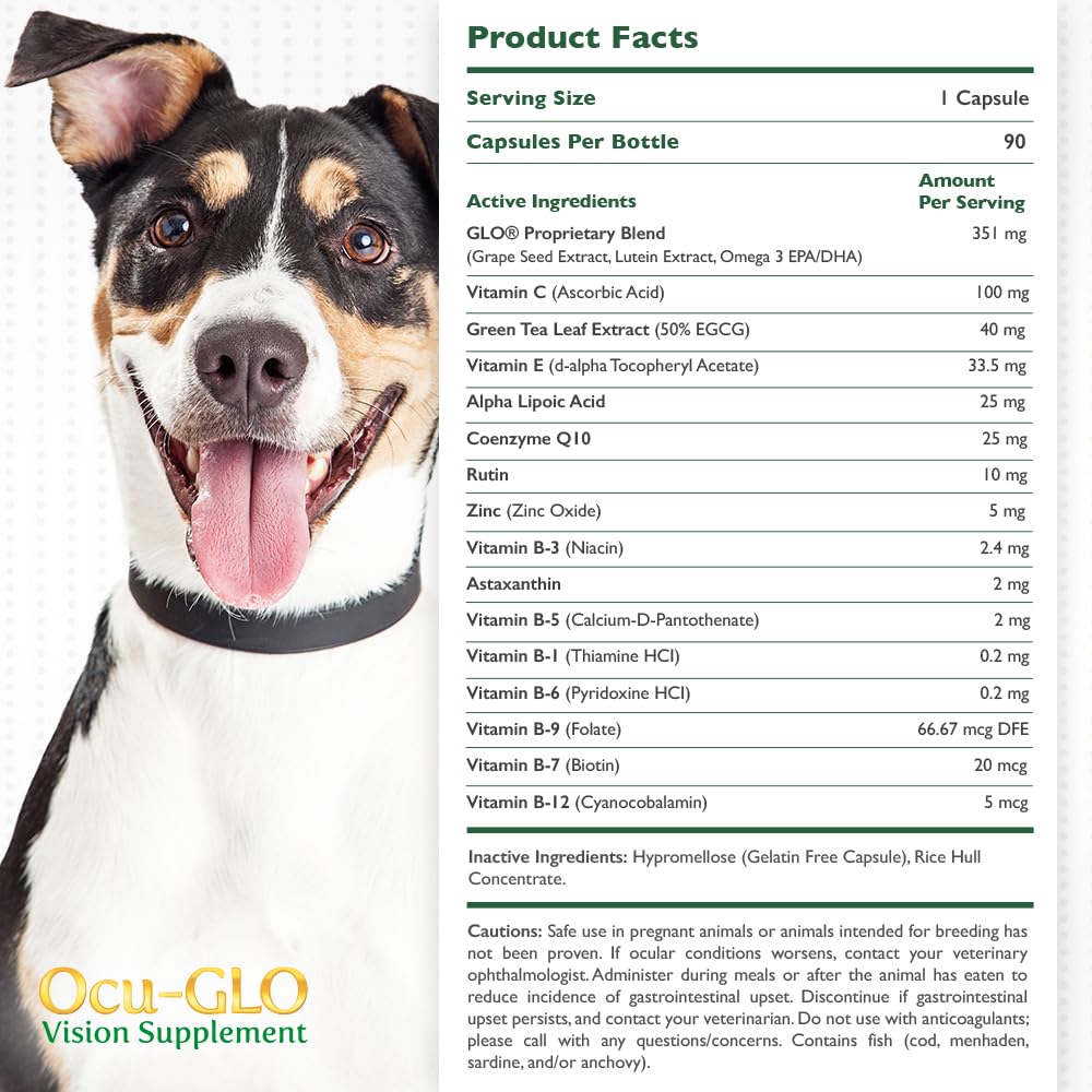 Ocu-GLO PB bottle label shows dog eye health supplement