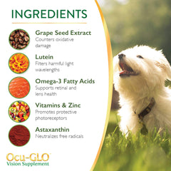 Ocu-GLO PB in a dog bowl ready to mix with food