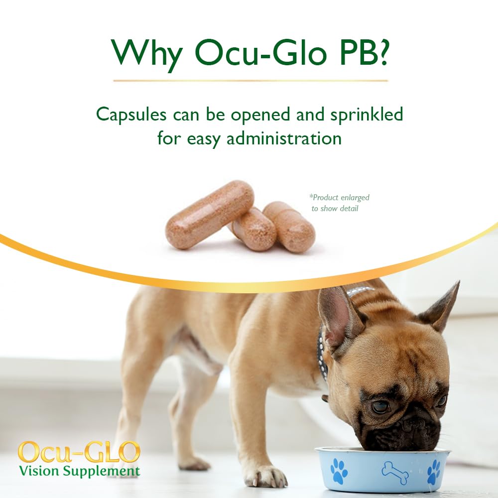 Powder blends easily with meals for sensitive stomachs