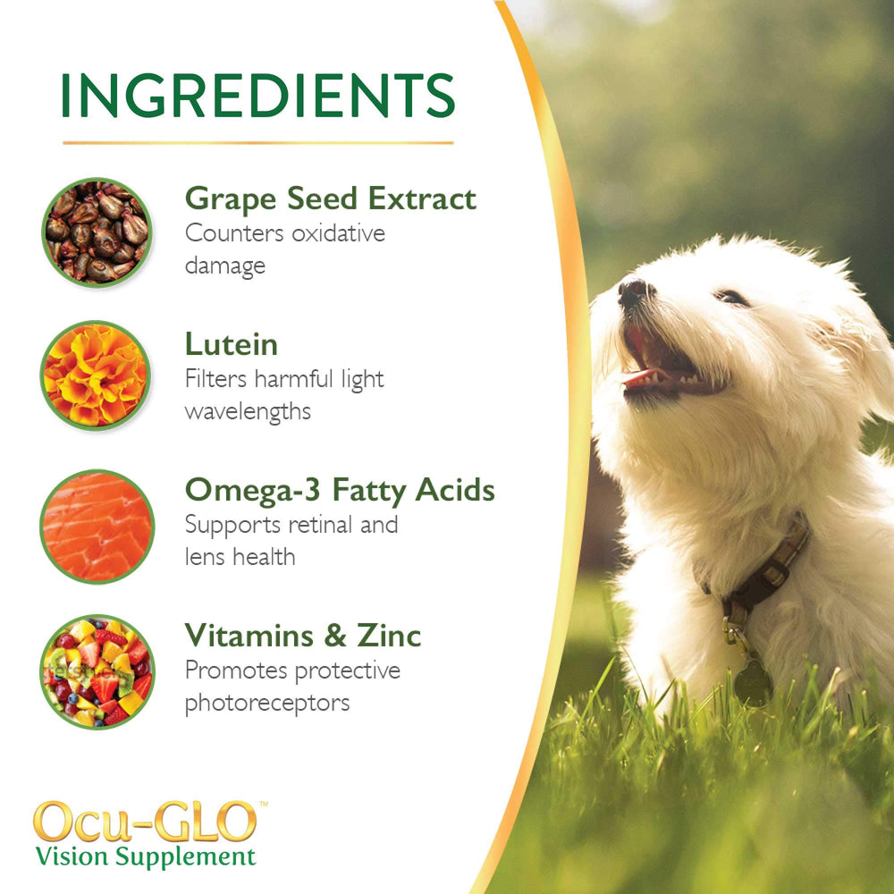 Ocu-GLO grape seed and antioxidant ingredients close-up suggesting fortified eye support.