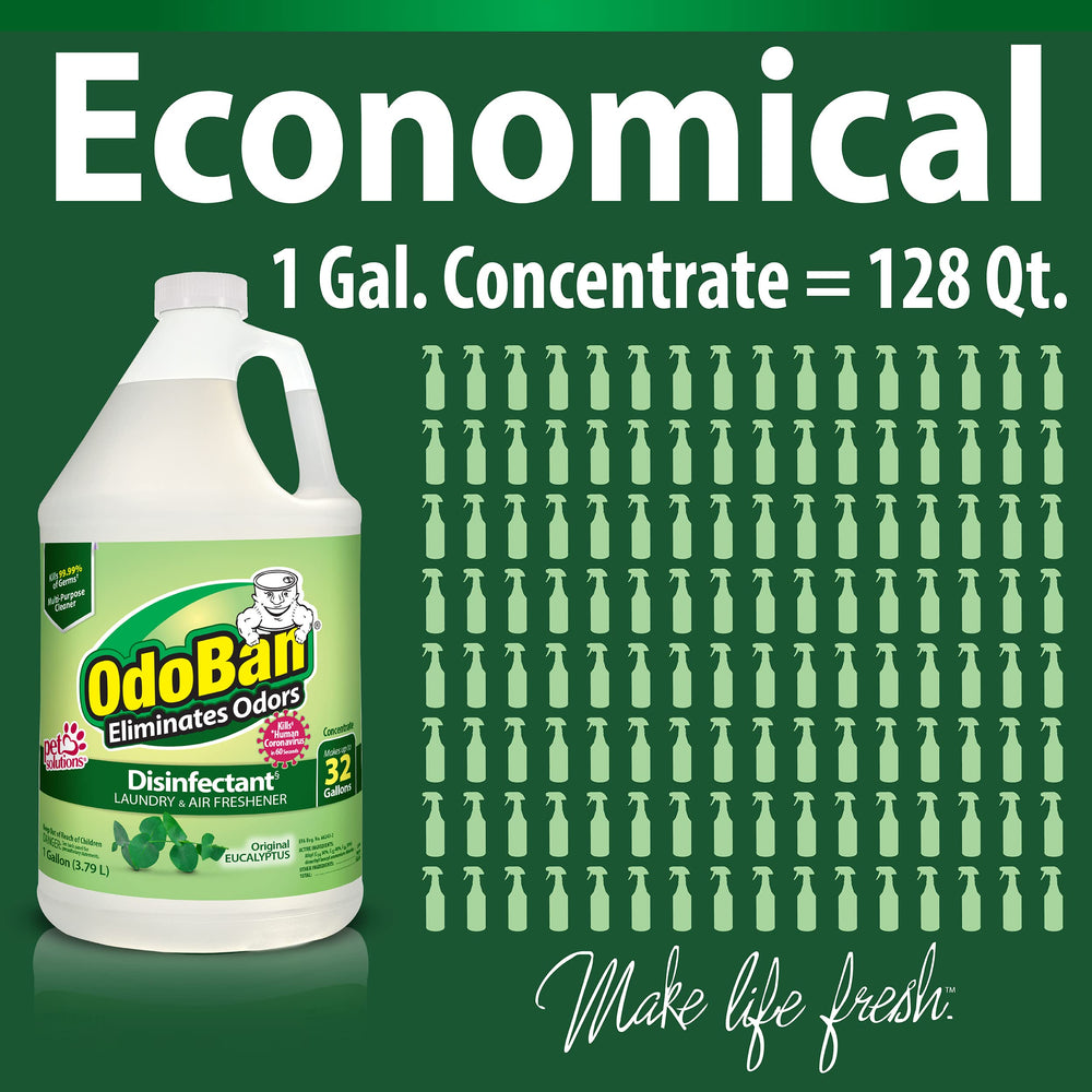 OdoBan Carpet Upholstery Odor Elimination helps remove pet smells and refresh fabrics.