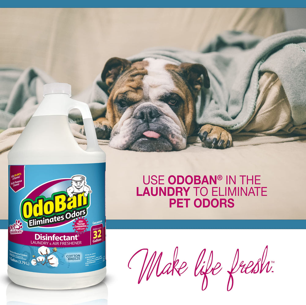 OdoBan multi-surface cleaner used on floors and countertops