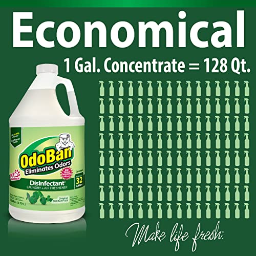 OdoBan original eucalyptus fresh scent bottle conveys a clean room feel.