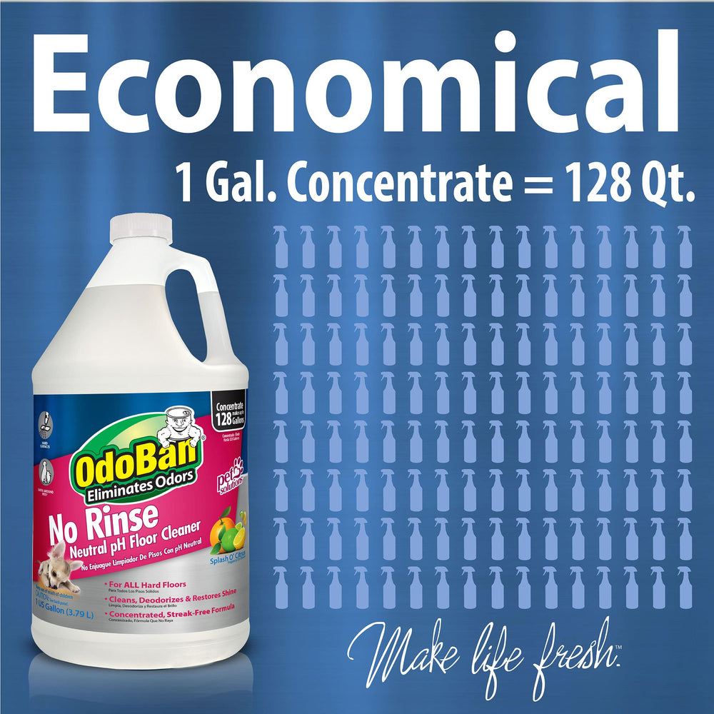 Two-gallon concentrate package ready for large cleaning tasks.