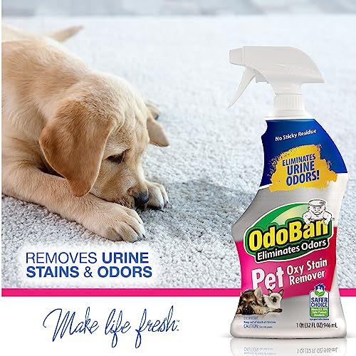 OdoBan Pet Solutions ready-to-use formula for carpets fabrics and upholstery.