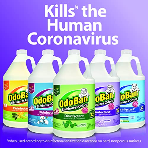 OdoBan Ready for use in schools, hospitals, and public transport facilities.
