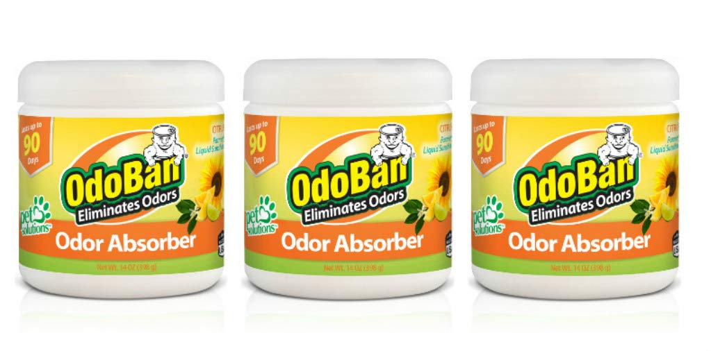 OdoBan solid odor absorber citrus jar in small space offering long-lasting freshness
