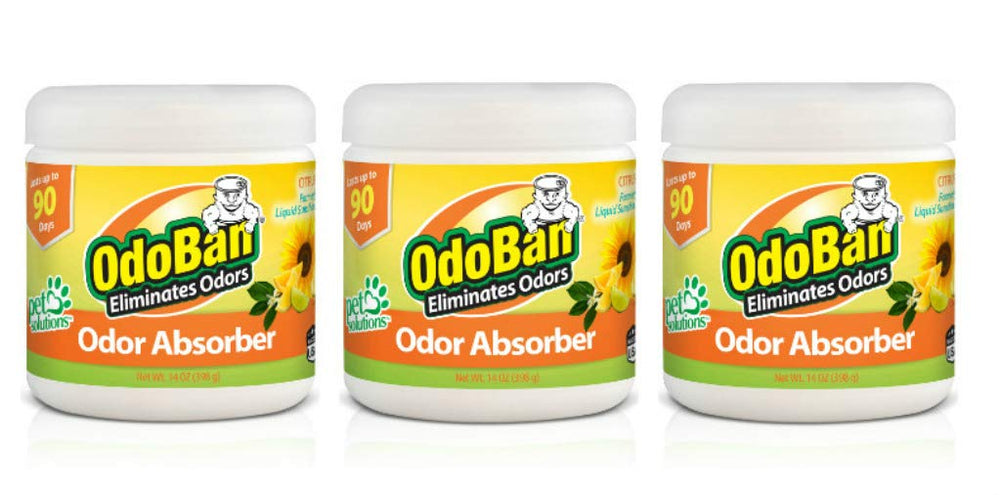 OdoBan solid odor absorber citrus jar in small space offering long-lasting freshness