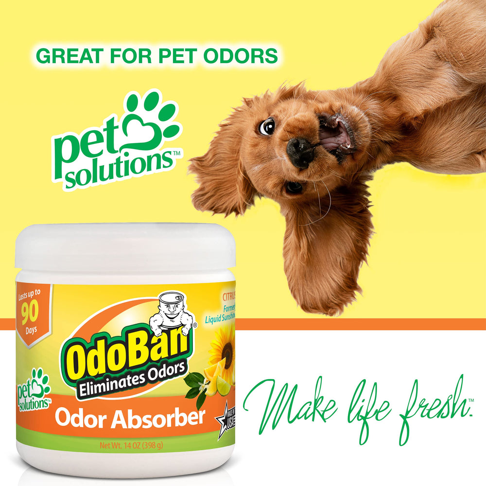 OdoBan solid odor absorber near trash bin provides citrus aroma while trapping odors