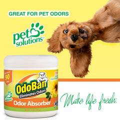 OdoBan solid odor absorber near trash bin provides citrus aroma while trapping odors