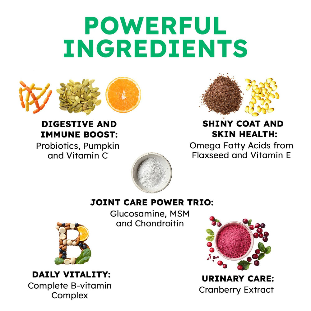 OKKÖBI dog vitamins bottle poured into dog bowl signals daily immune care.