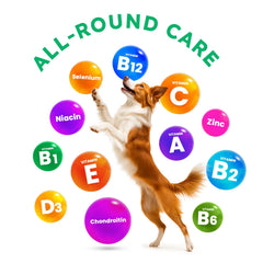 OKKÖBI dog vitamins chews in hand offer a tasty joint support treat.