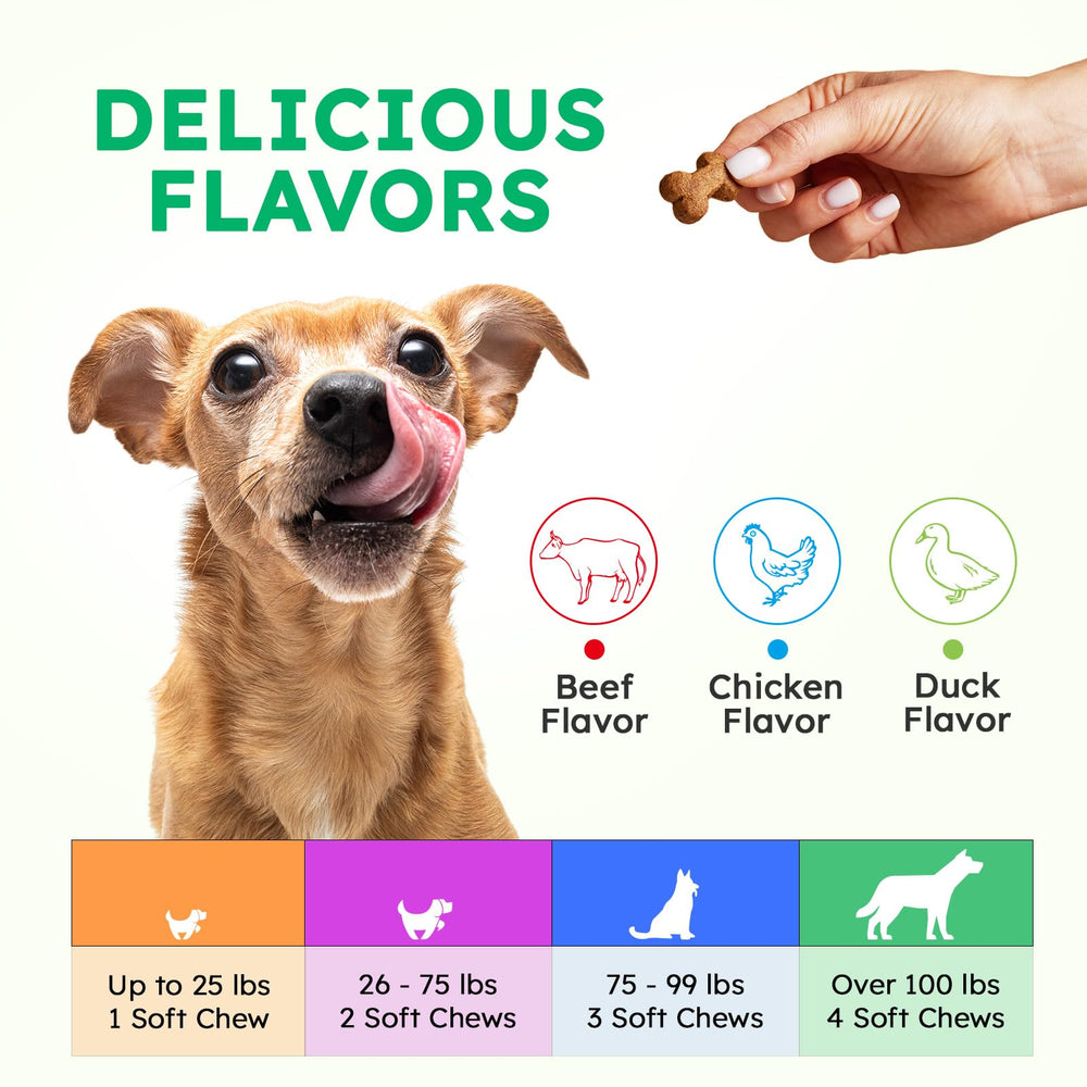 OKKÖBI dog vitamins omega-3 coat care for a shiny, healthy-looking coat.