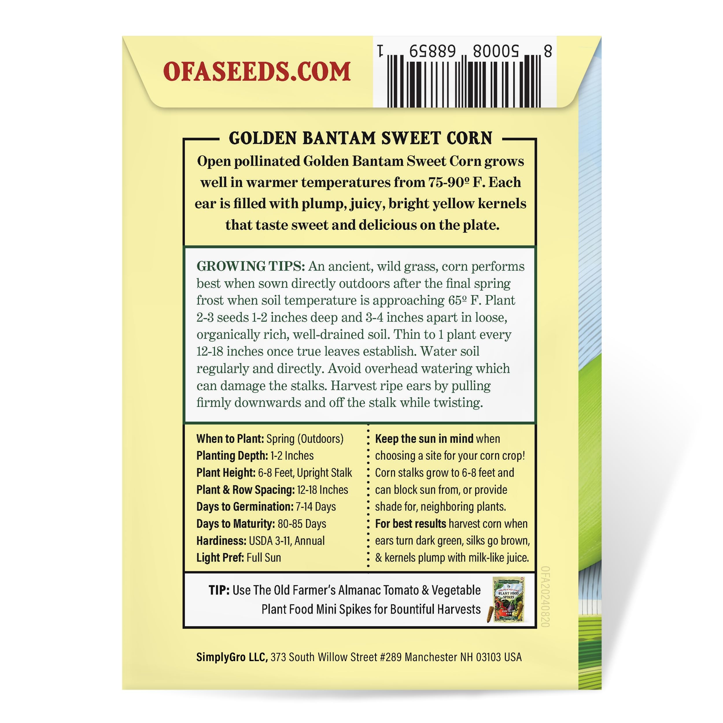 Soil planting with Golden Bantam seeds from The Old Farmer's Almanac, direct sow recommended.