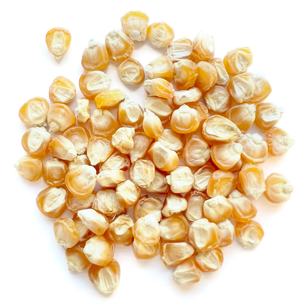 The Old Farmer's Almanac Golden Bantam seeds pack back with growing instructions for confidence.