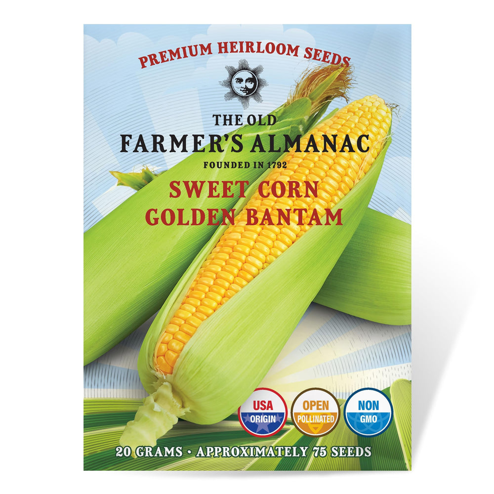 The Old Farmer's Almanac Golden Bantam seeds pack front shows heirloom seeds for home gardens.