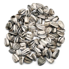 Mammoth Gray Stripe seeds in hand, non GMO and open pollinated for big blooms