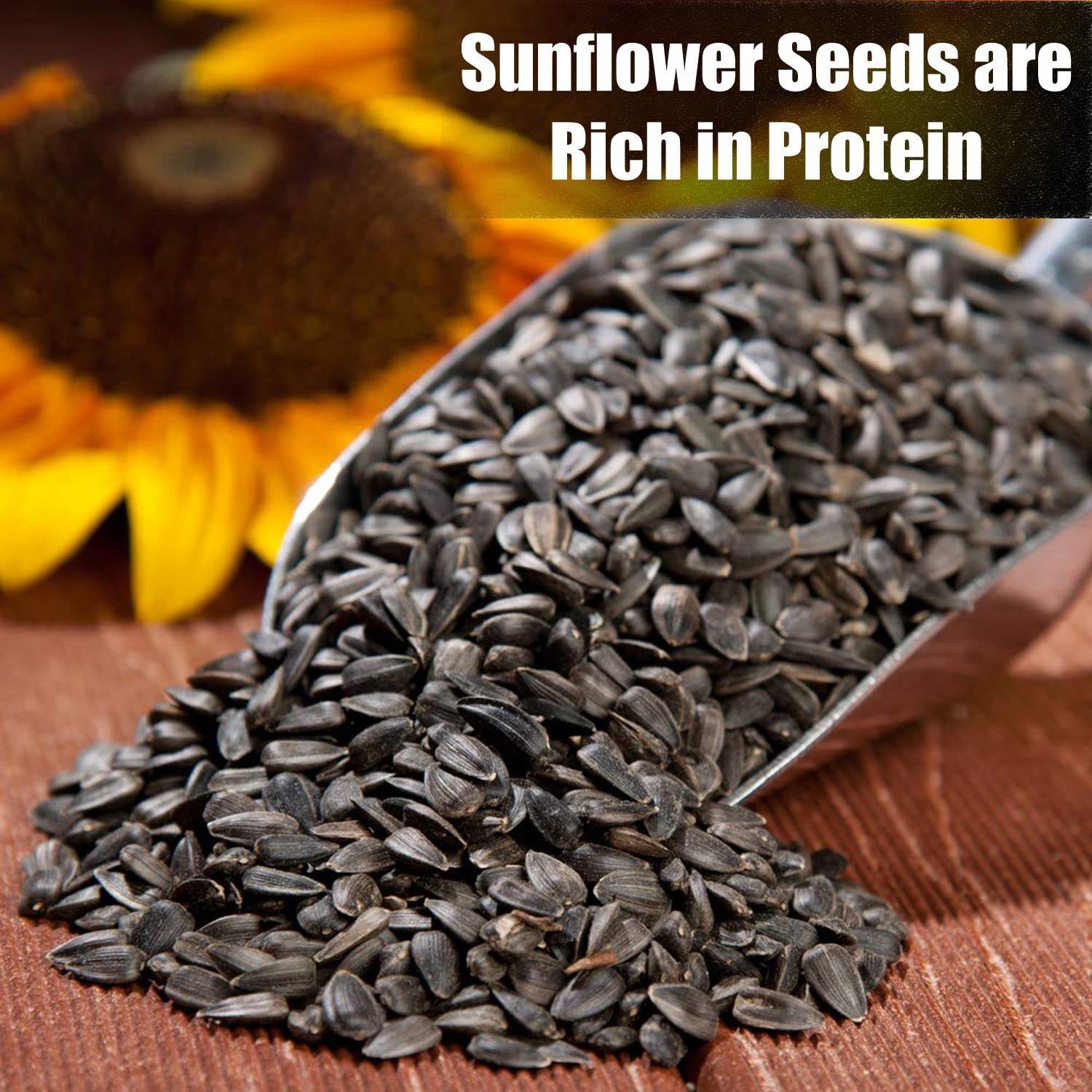 Old Potters protein rich sunflower seeds nourishing birds