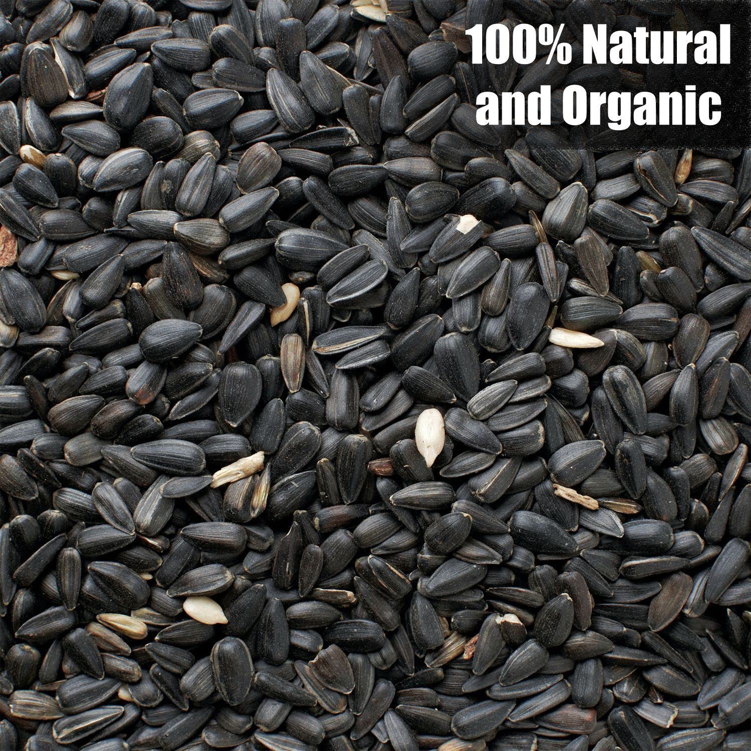 Old Potters Wildlife seeds attracting a variety of backyard birds