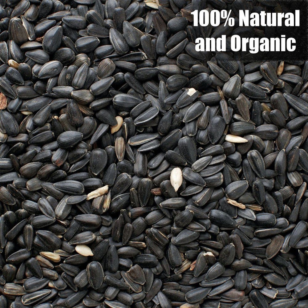 Old Potters Wildlife seeds attracting a variety of backyard birds