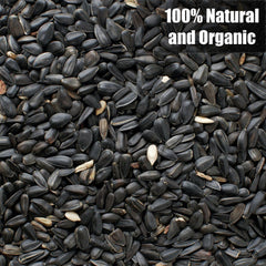 Old Potters Wildlife seeds attracting a variety of backyard birds