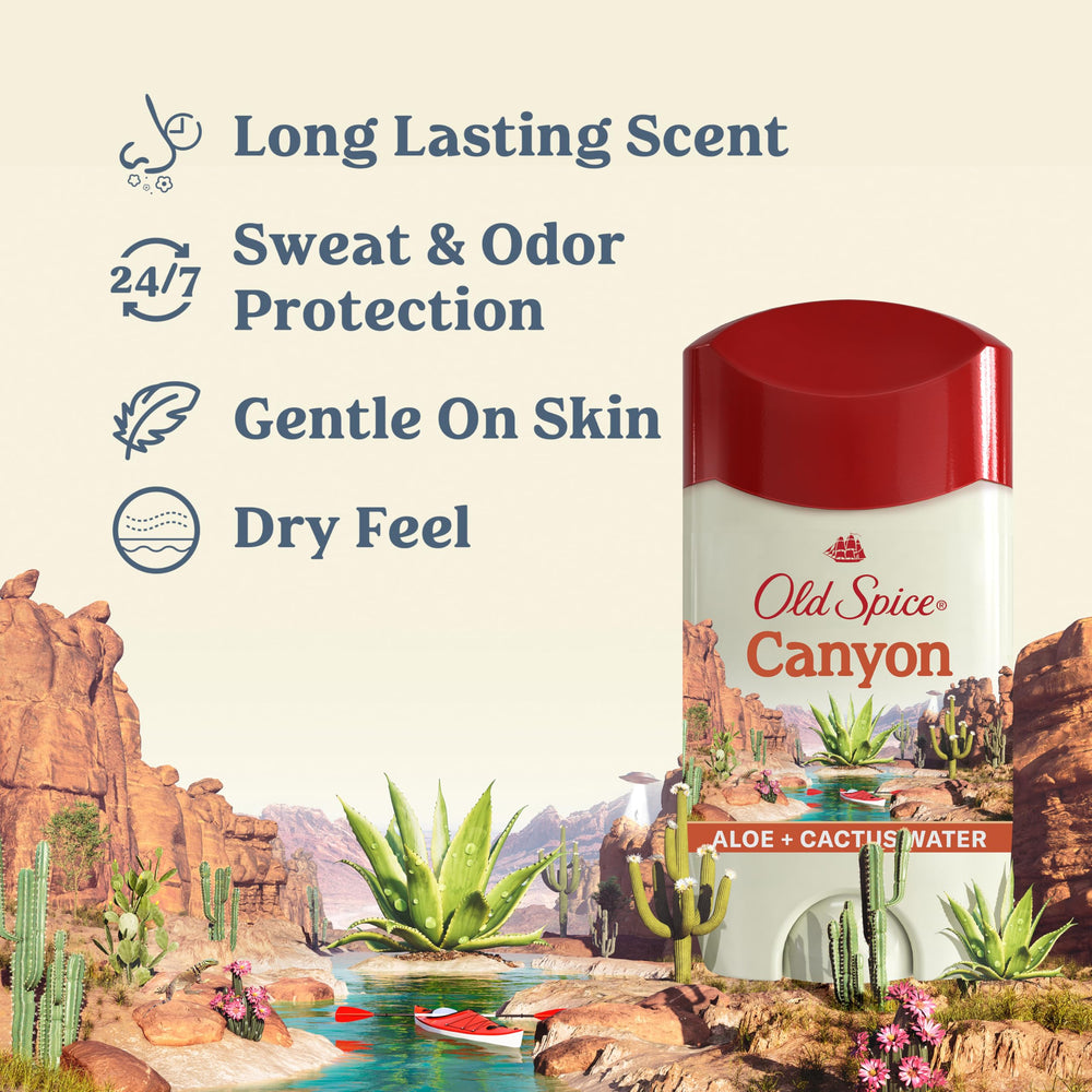 Old Spice Canyon Aloe deodorant stick highlights portable protection for travel.