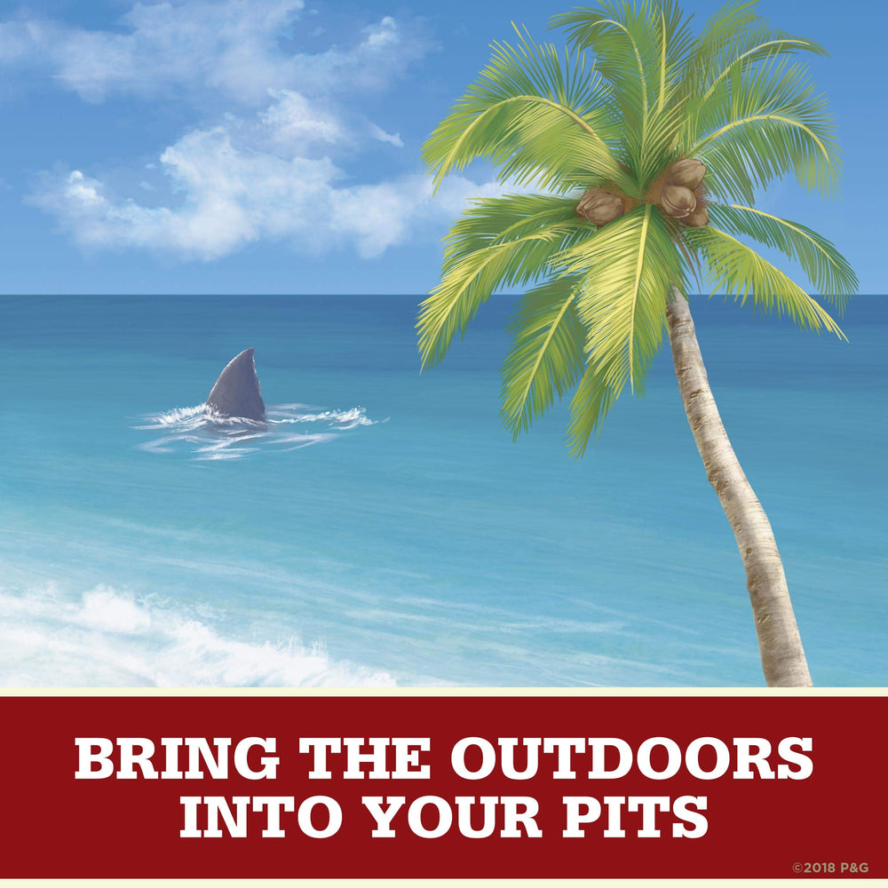 Old Spice Fiji Palm Tree Scent deodorant stick in pack ready to travel.
