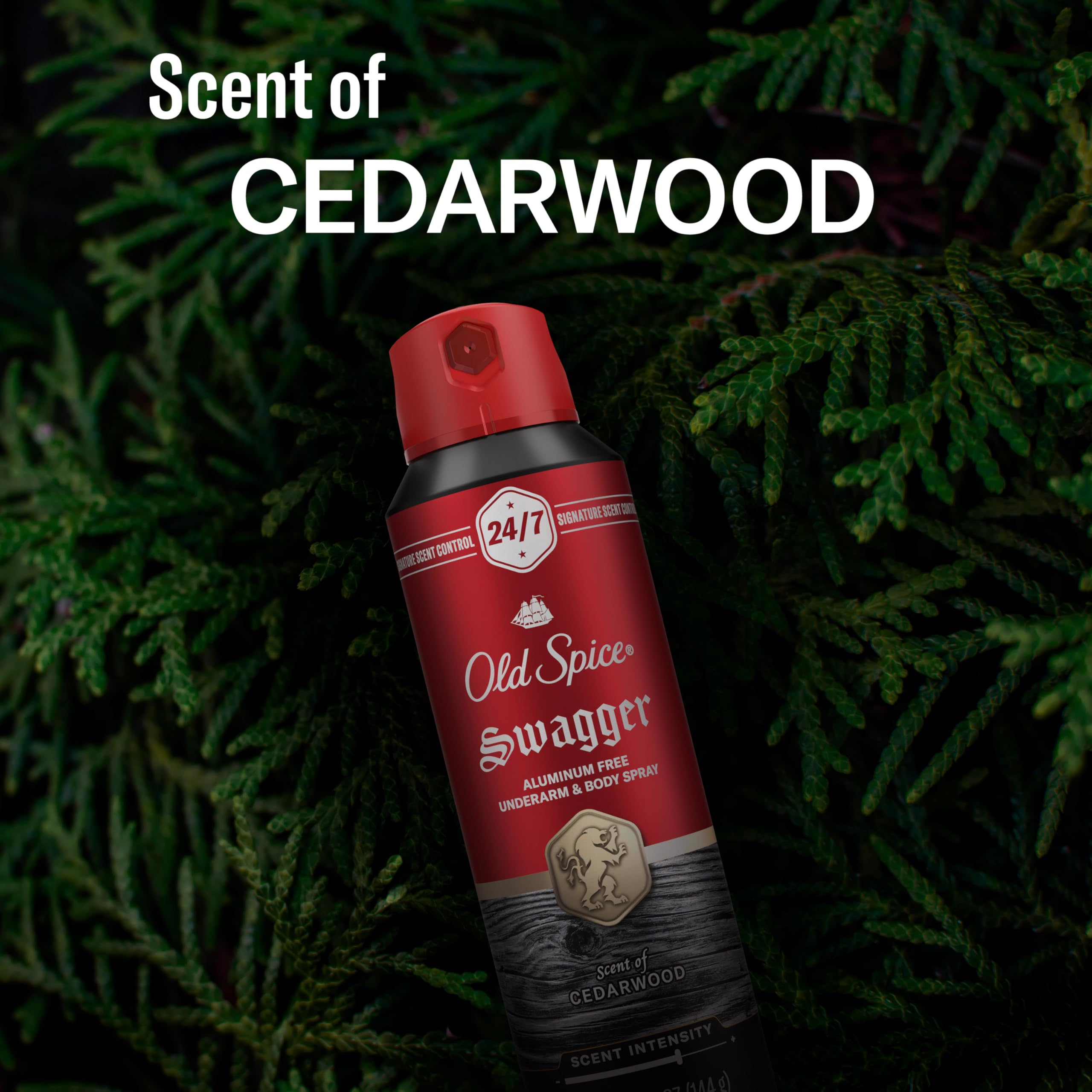 Old Spice long-lasting freshness graphic illustrating odor protection.