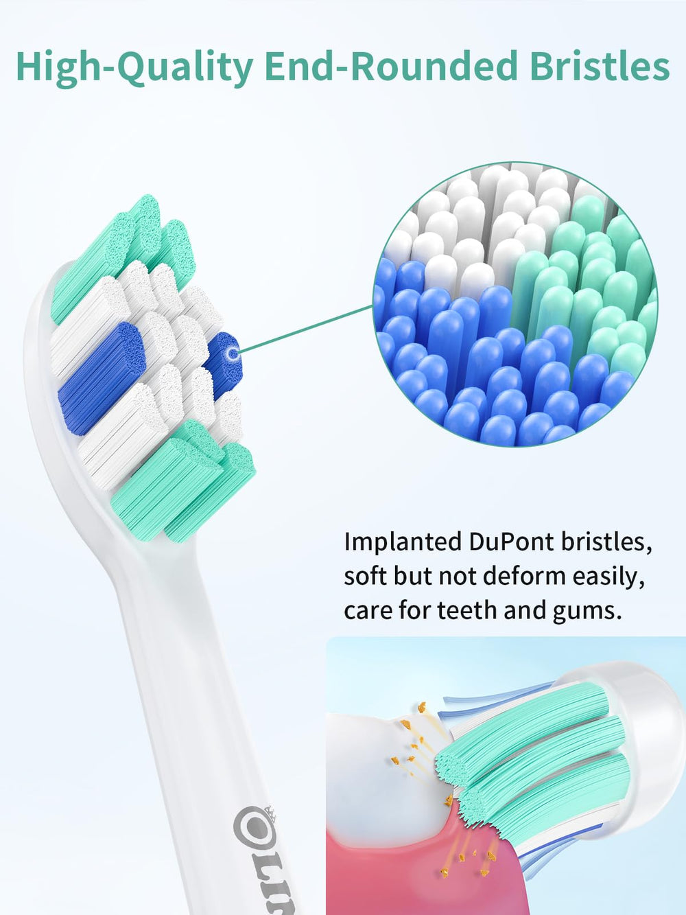 Premium DuPont end-rounded bristles on OLINS KAKO Philips head for gentle cleaning.