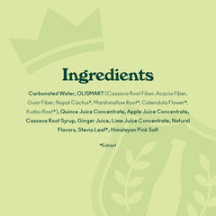 Close-up of OLIPOP ingredients: prebiotics, fiber, botanicals for gut-friendly refreshment.
