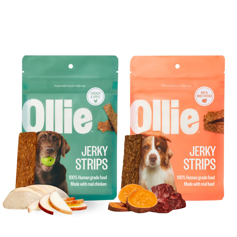 Ollie chicken and apple jerky pack, ideal for training rewards